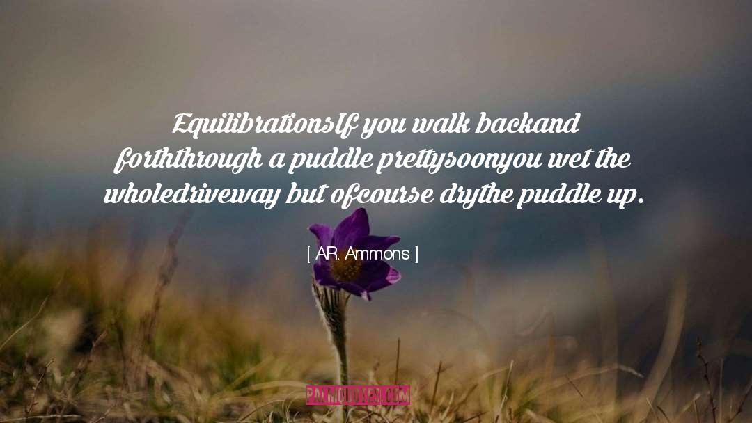 A.R. Ammons Quotes: Equilibrations<br>If you walk back<br>and forth<br>through