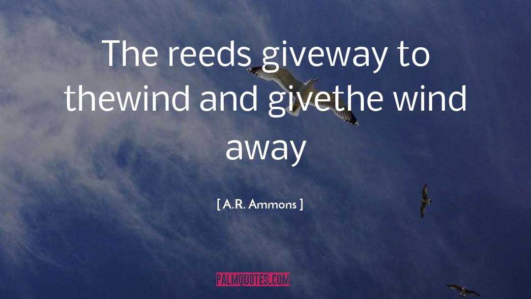 A.R. Ammons Quotes: The reeds give<br>way to the<br>wind