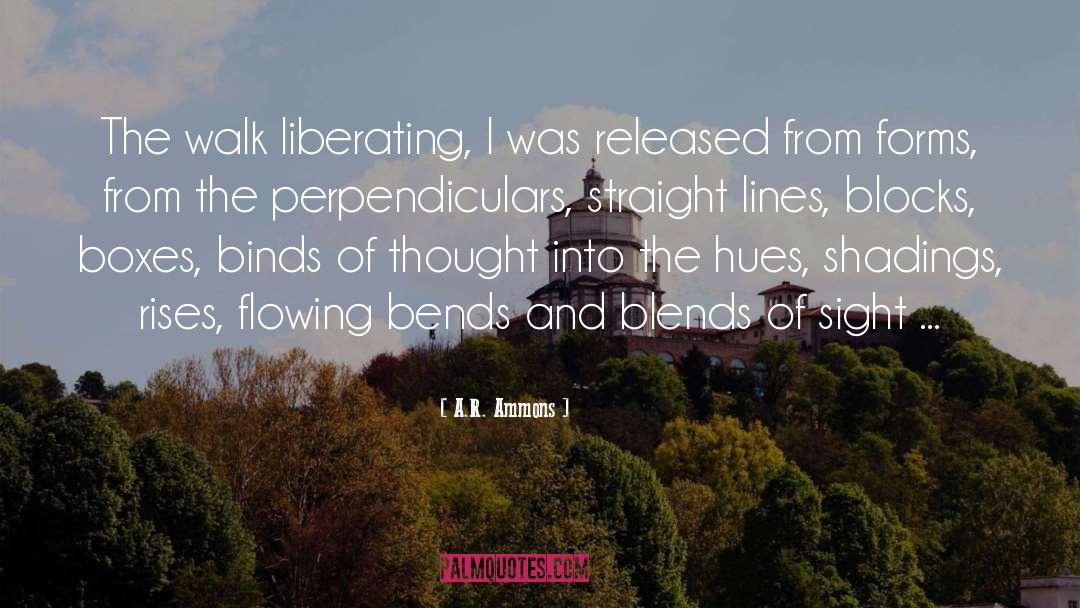 A.R. Ammons Quotes: The walk liberating, I was