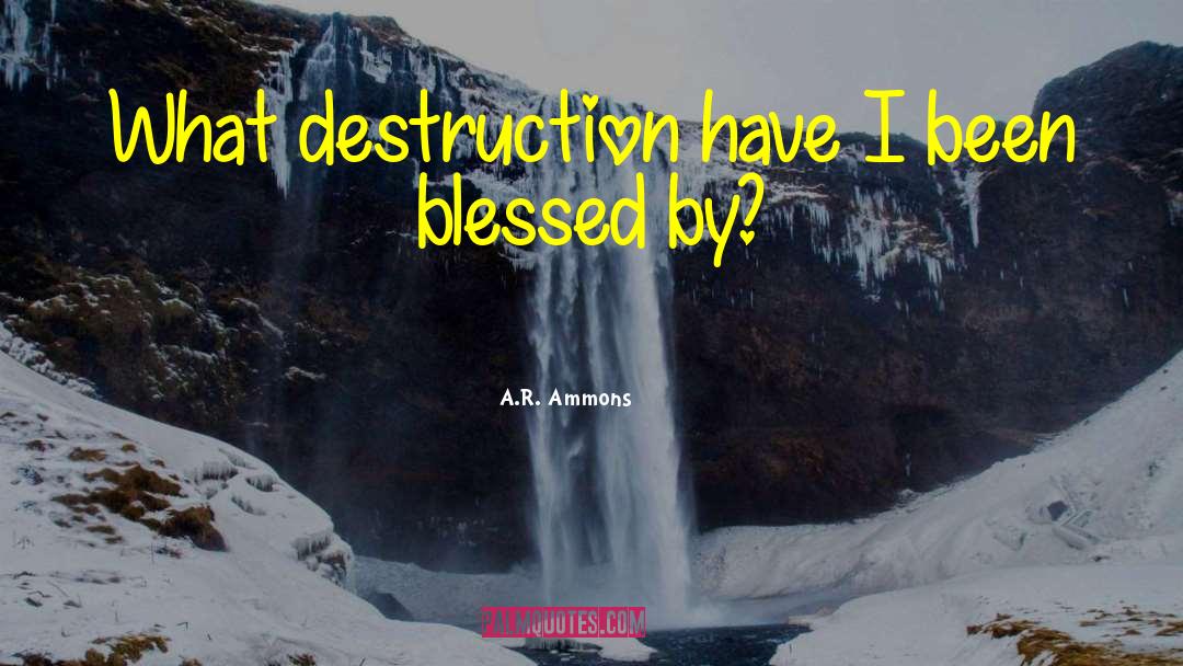 A.R. Ammons Quotes: What destruction have I been