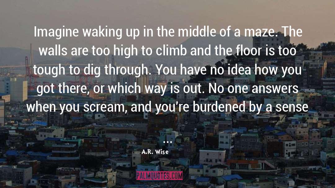 A.R. Wise Quotes: Imagine waking up in the