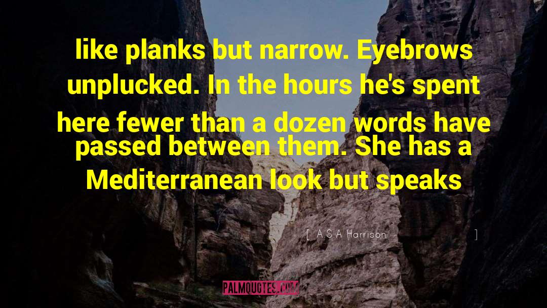 A.S.A Harrison Quotes: like planks but narrow. Eyebrows