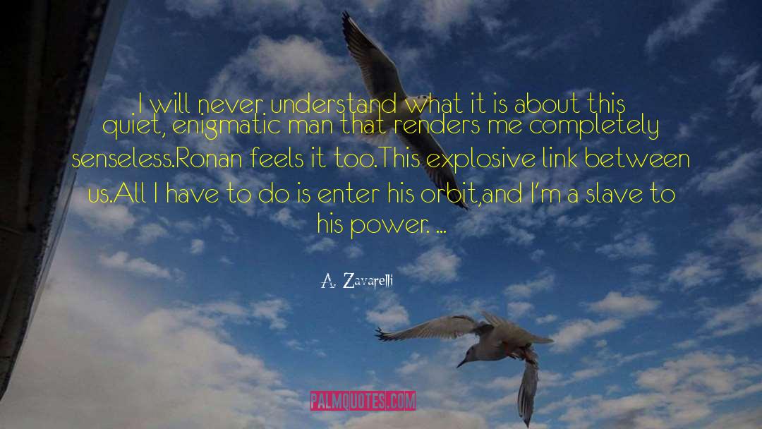 A. Zavarelli Quotes: I will never understand what