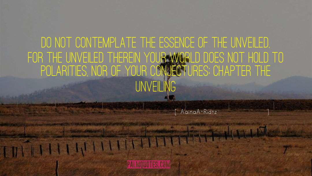 AainaA-Ridtz Quotes: Do not contemplate the Essence