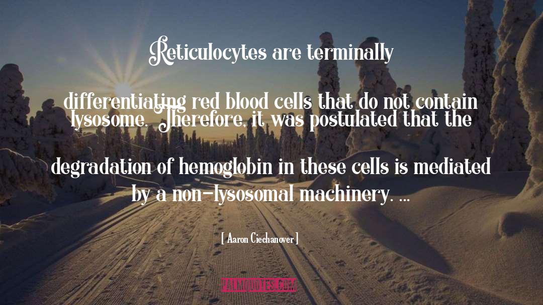 Aaron Ciechanover Quotes: Reticulocytes are terminally differentiating red