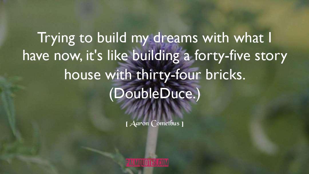 Aaron Cometbus Quotes: Trying to build my dreams