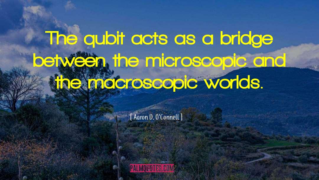 Aaron D. O'Connell Quotes: The qubit acts as a
