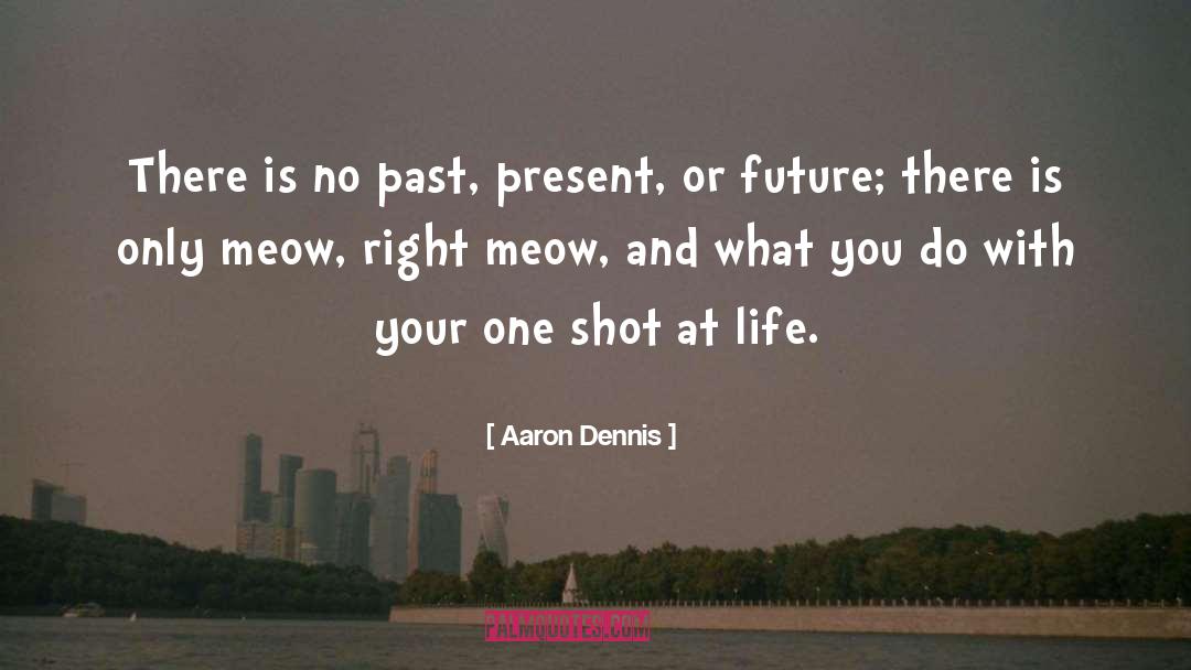 Aaron Dennis Quotes: There is no past, present,