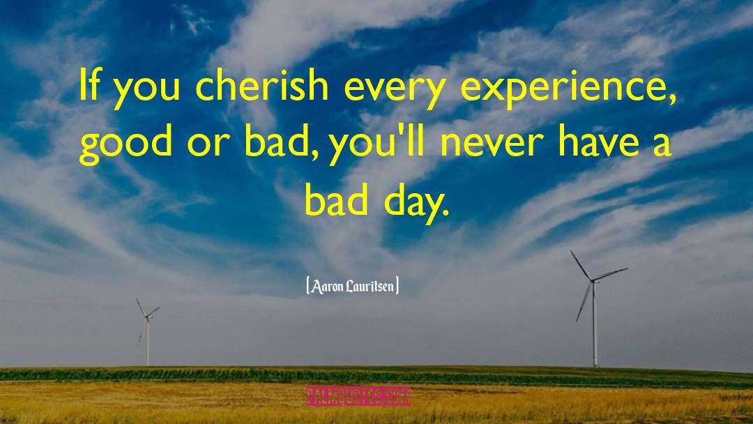 Aaron Lauritsen Quotes: If you cherish every experience,