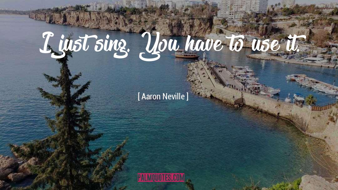 Aaron Neville Quotes: I just sing. You have