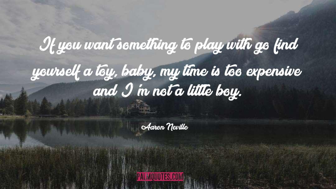 Aaron Neville Quotes: If you want something to