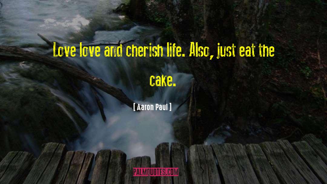 Aaron Paul Quotes: Love love and cherish life.