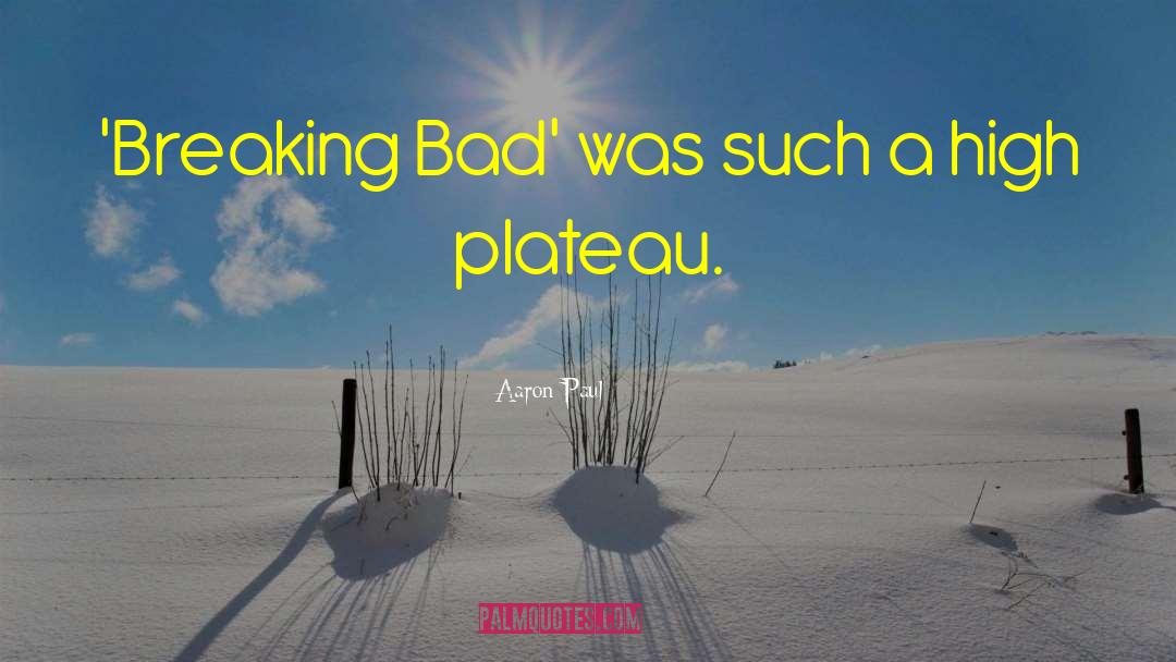 Aaron Paul Quotes: 'Breaking Bad' was such a