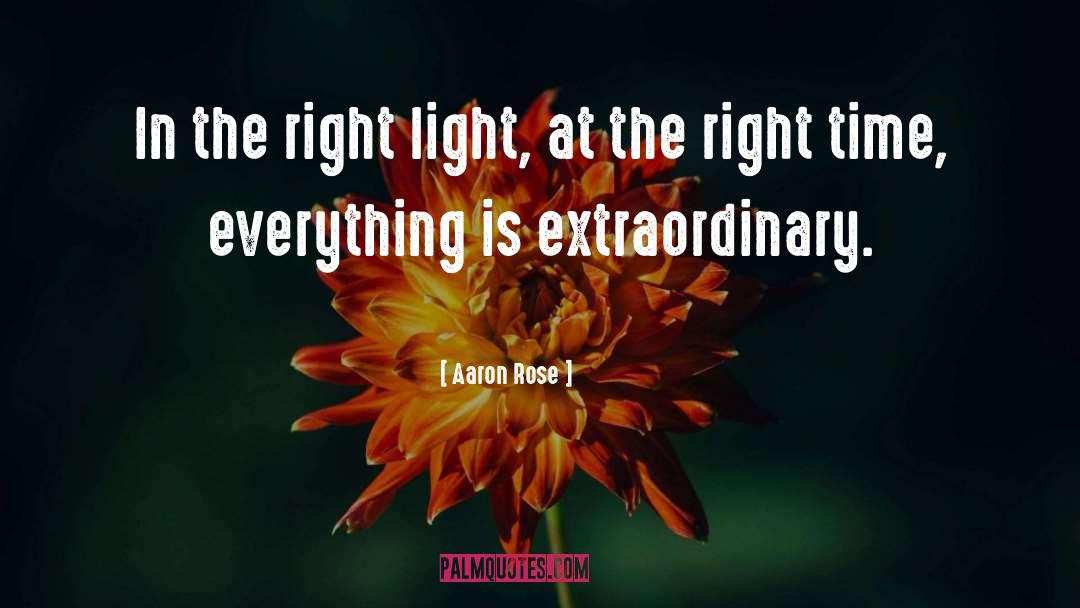 Aaron Rose Quotes: In the right light, at
