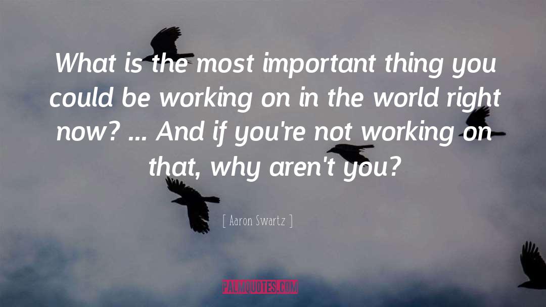 Aaron Swartz Quotes: What is the most important