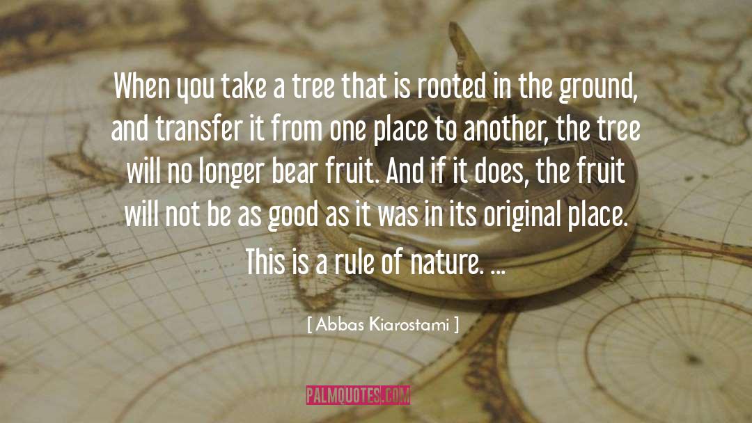 Abbas Kiarostami Quotes: When you take a tree