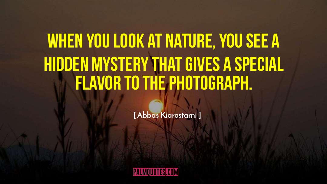 Abbas Kiarostami Quotes: When you look at nature,