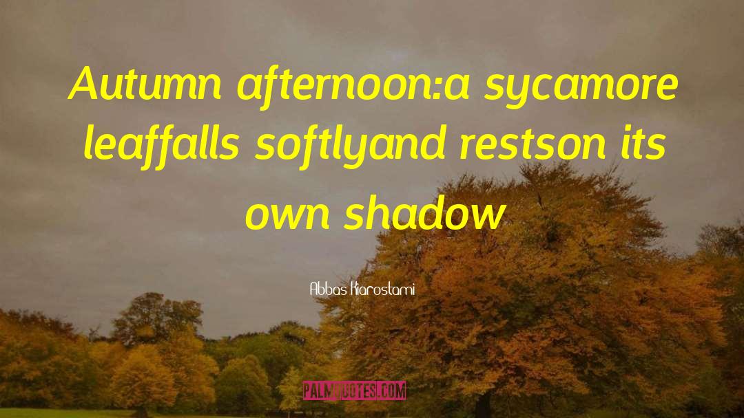 Abbas Kiarostami Quotes: Autumn afternoon:<br />a sycamore leaf<br