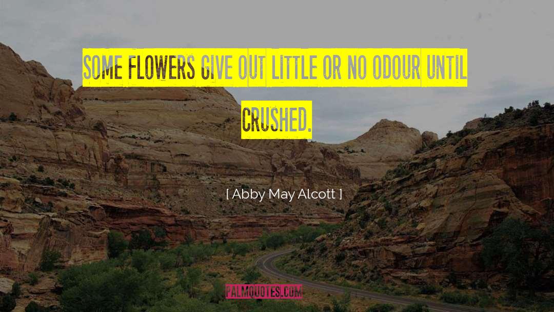 Abby May Alcott Quotes: Some flowers give out little