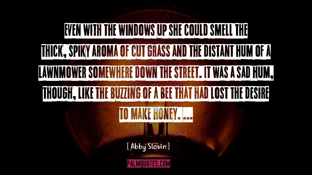 Abby Slovin Quotes: Even with the windows up