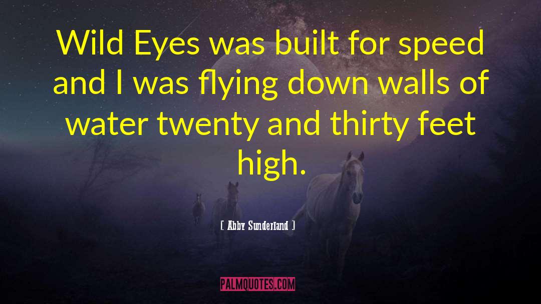 Abby Sunderland Quotes: Wild Eyes was built for