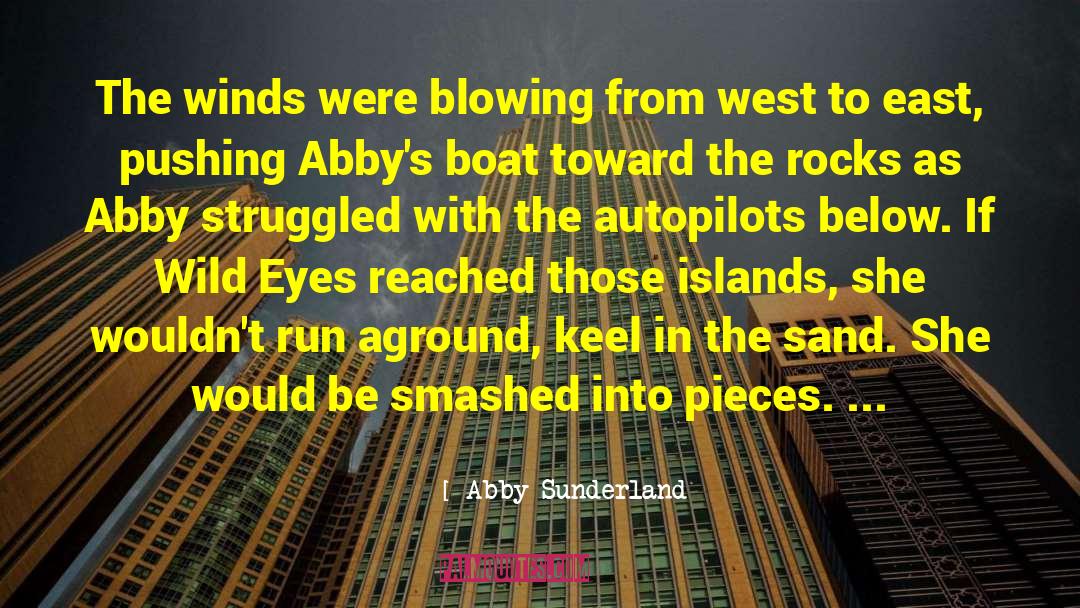 Abby Sunderland Quotes: The winds were blowing from
