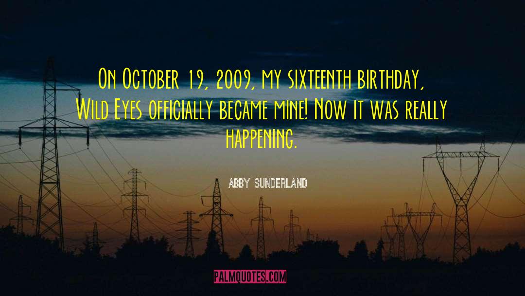 Abby Sunderland Quotes: On October 19, 2009, my