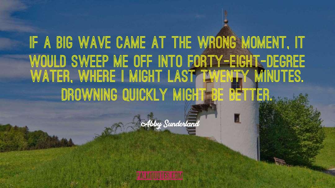 Abby Sunderland Quotes: If a big wave came