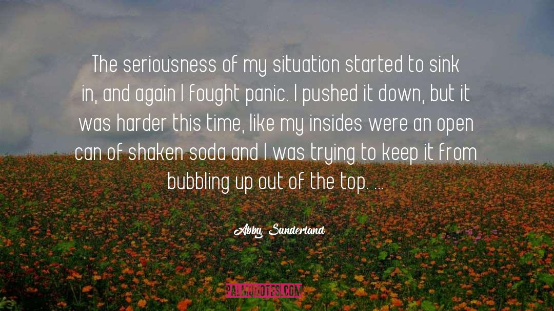Abby Sunderland Quotes: The seriousness of my situation