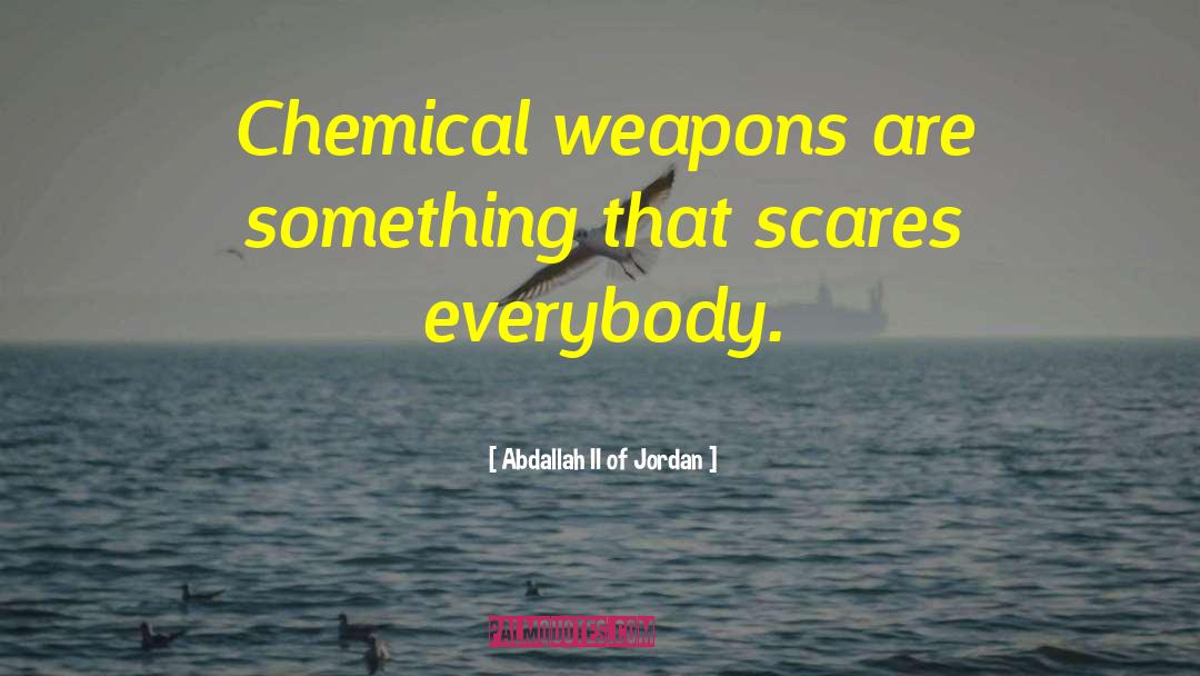 Abdallah II Of Jordan Quotes: Chemical weapons are something that