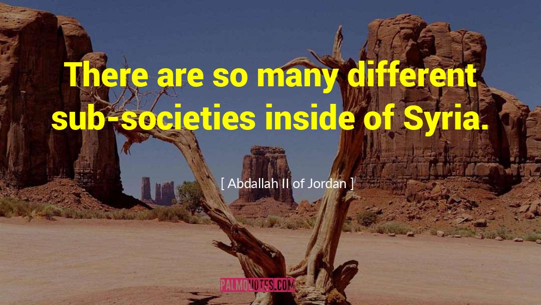 Abdallah II Of Jordan Quotes: There are so many different