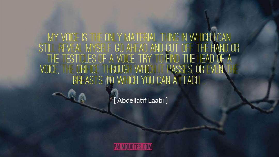 Abdellatif Laabi Quotes: My voice is the only