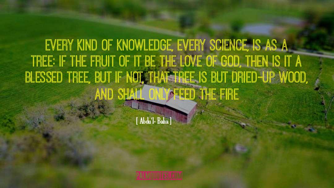 Abdu'l- Baha Quotes: Every kind of knowledge, every