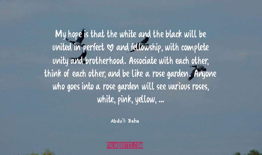 Abdu'l- Baha Quotes: My hope is that the