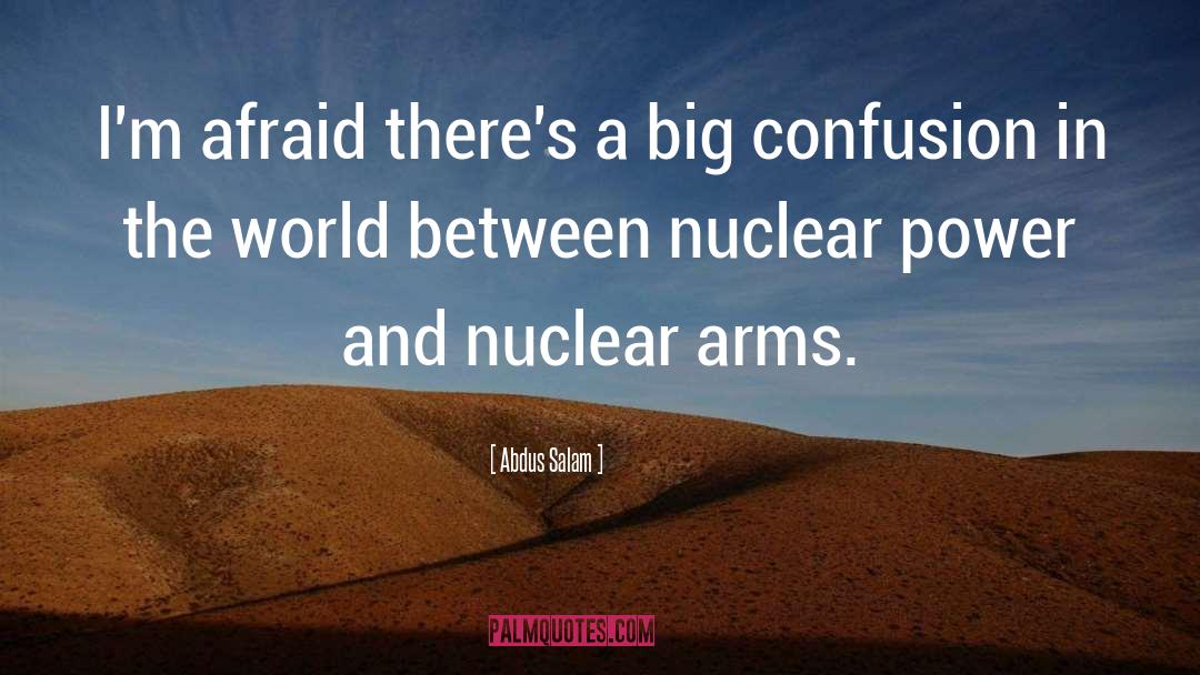 Abdus Salam Quotes: I'm afraid there's a big