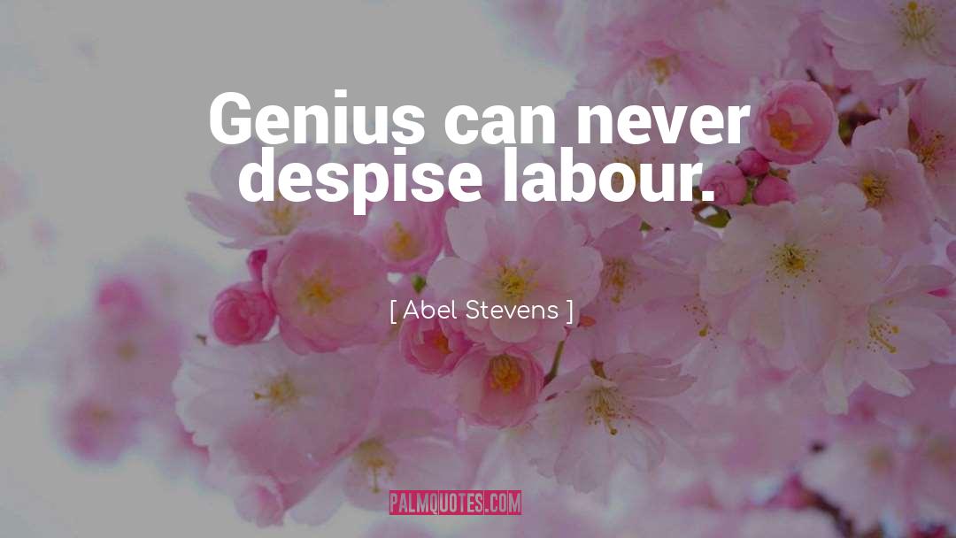 Abel Stevens Quotes: Genius can never despise labour.