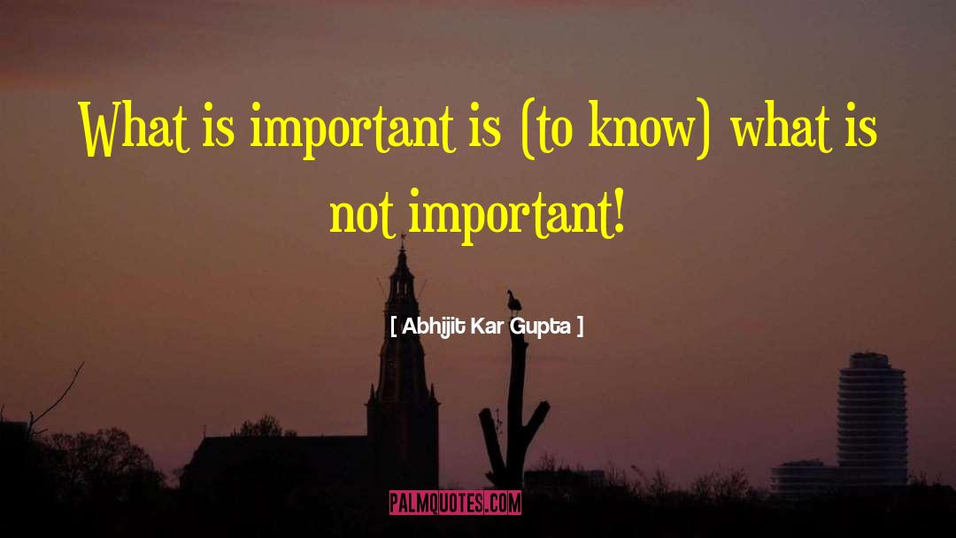 Abhijit Kar Gupta Quotes: What is important is (to