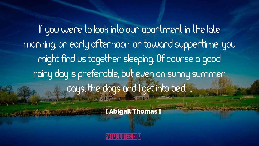 Abigail Thomas Quotes: If you were to look