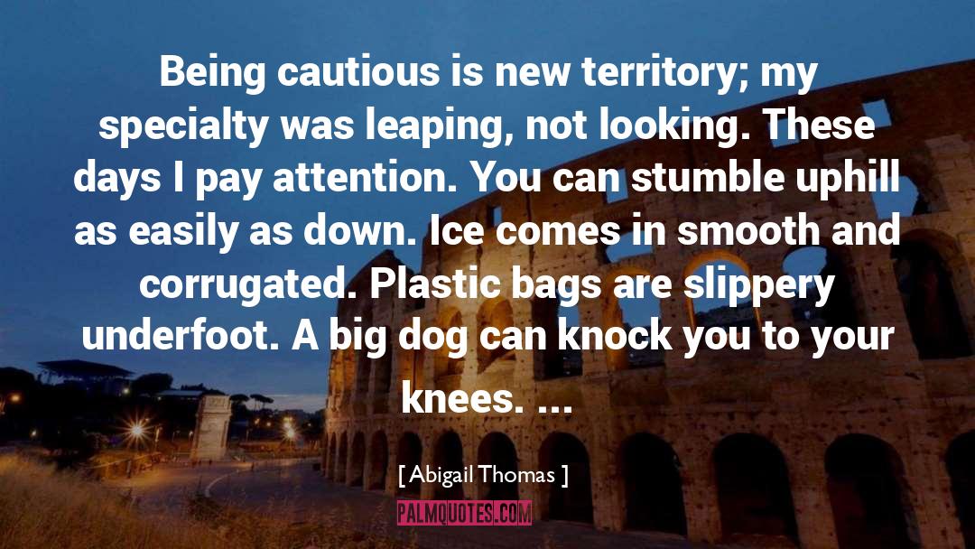 Abigail Thomas Quotes: Being cautious is new territory;