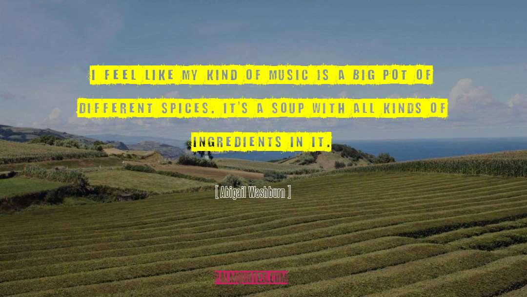 Abigail Washburn Quotes: I feel like my kind