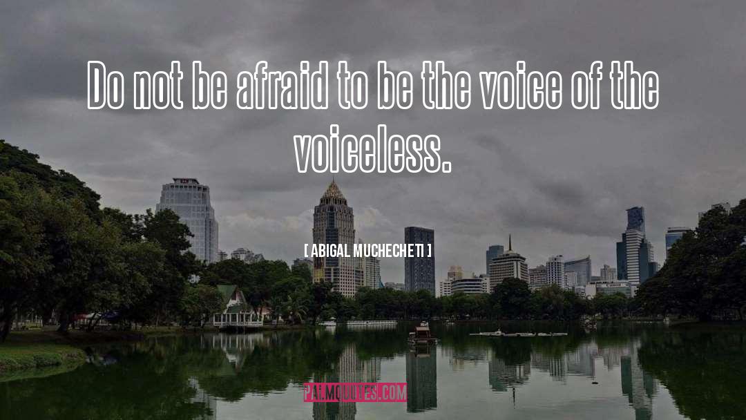 Abigal Muchecheti Quotes: Do not be afraid to
