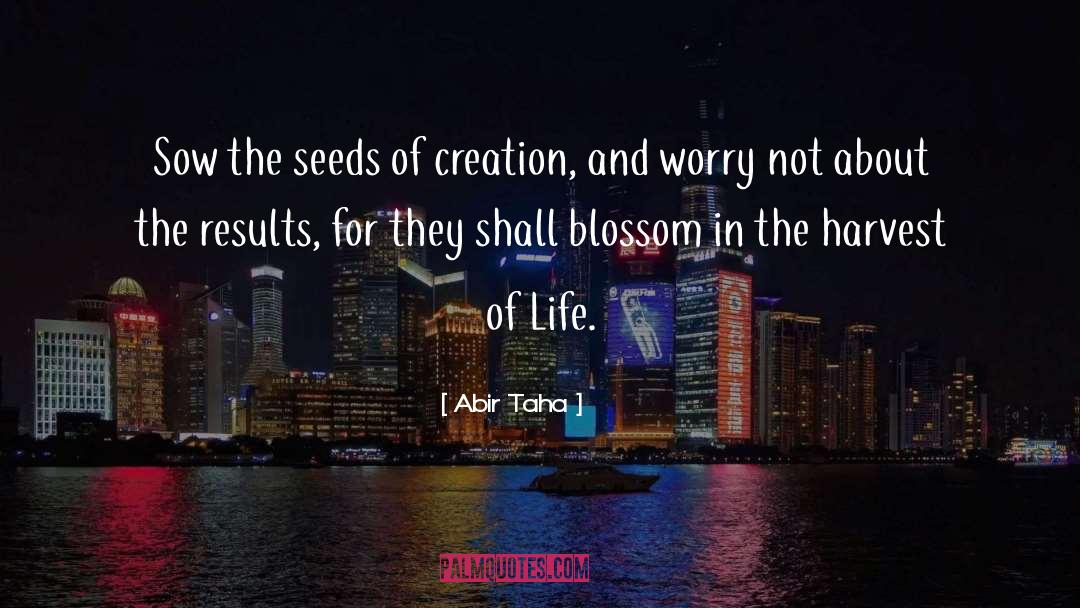 Abir Taha Quotes: Sow the seeds of creation,