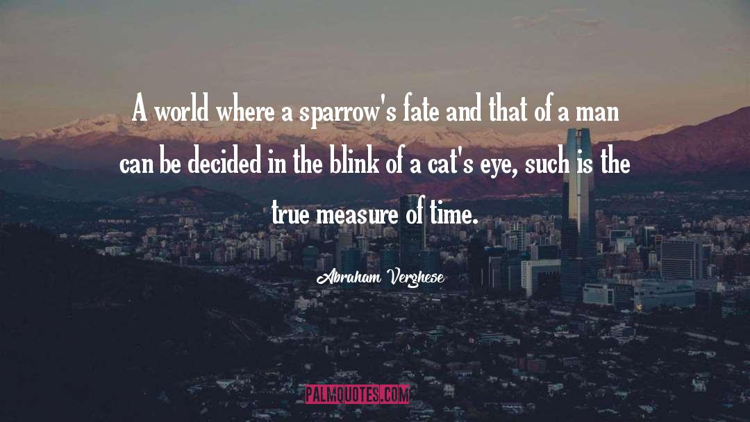 Abraham Verghese Quotes: A world where a sparrow's