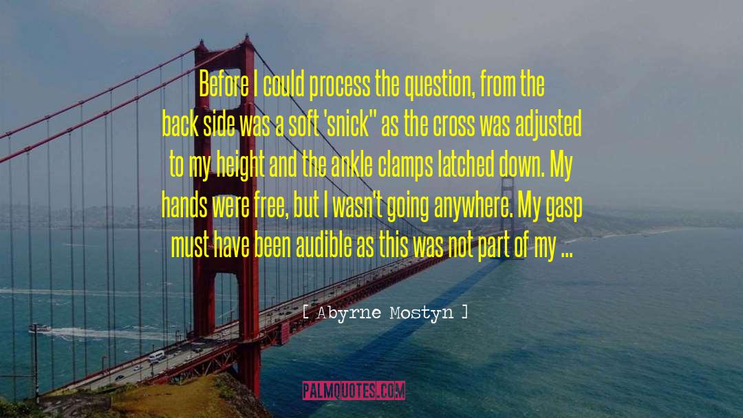 Abyrne Mostyn Quotes: Before I could process the