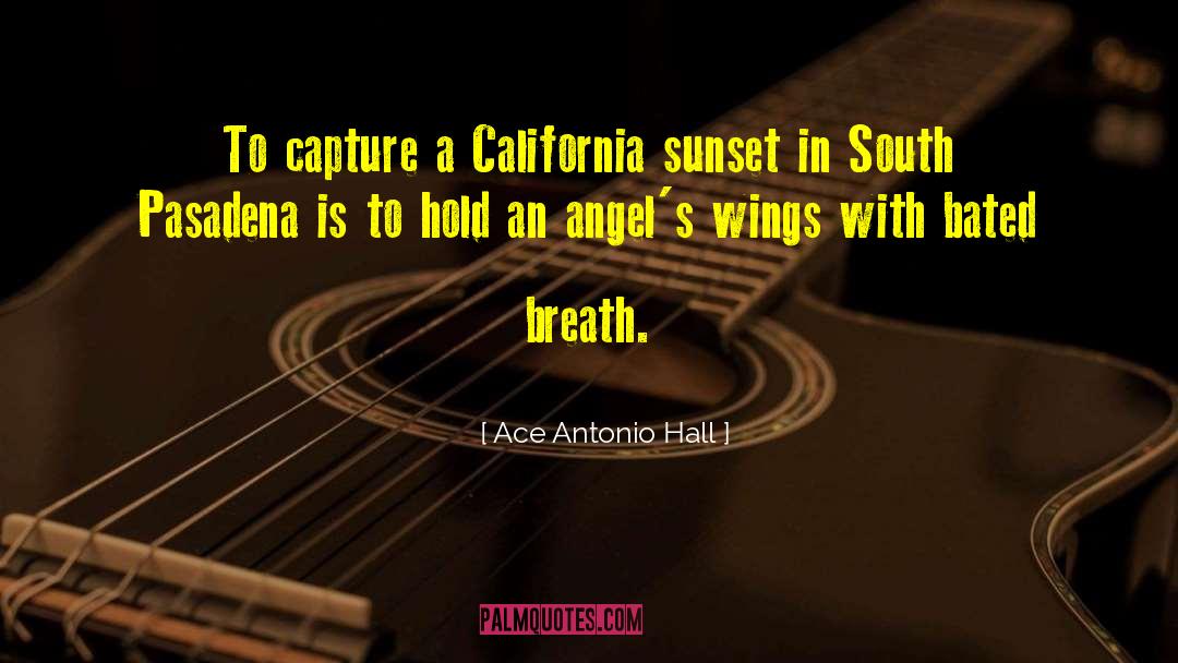 Ace Antonio Hall Quotes: To capture a California sunset