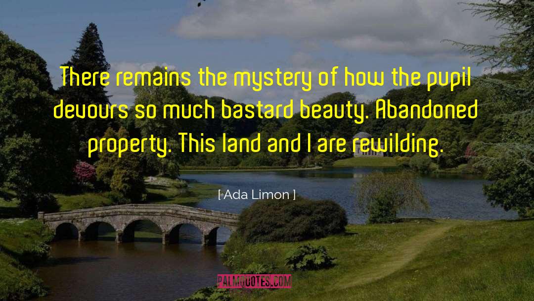 Ada Limon Quotes: There remains the mystery of