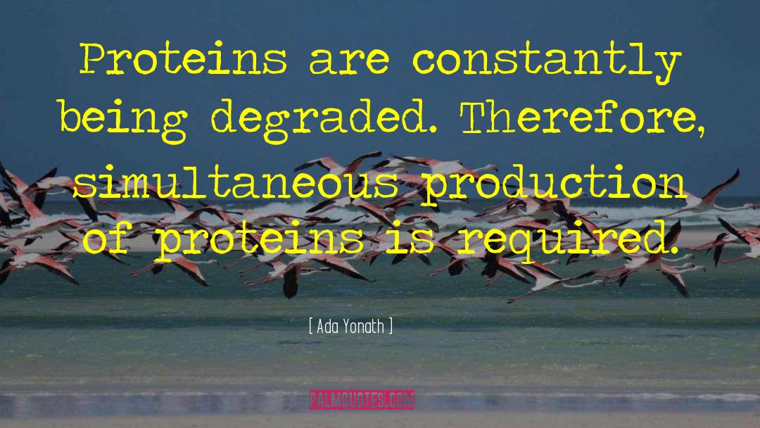 Ada Yonath Quotes: Proteins are constantly being degraded.