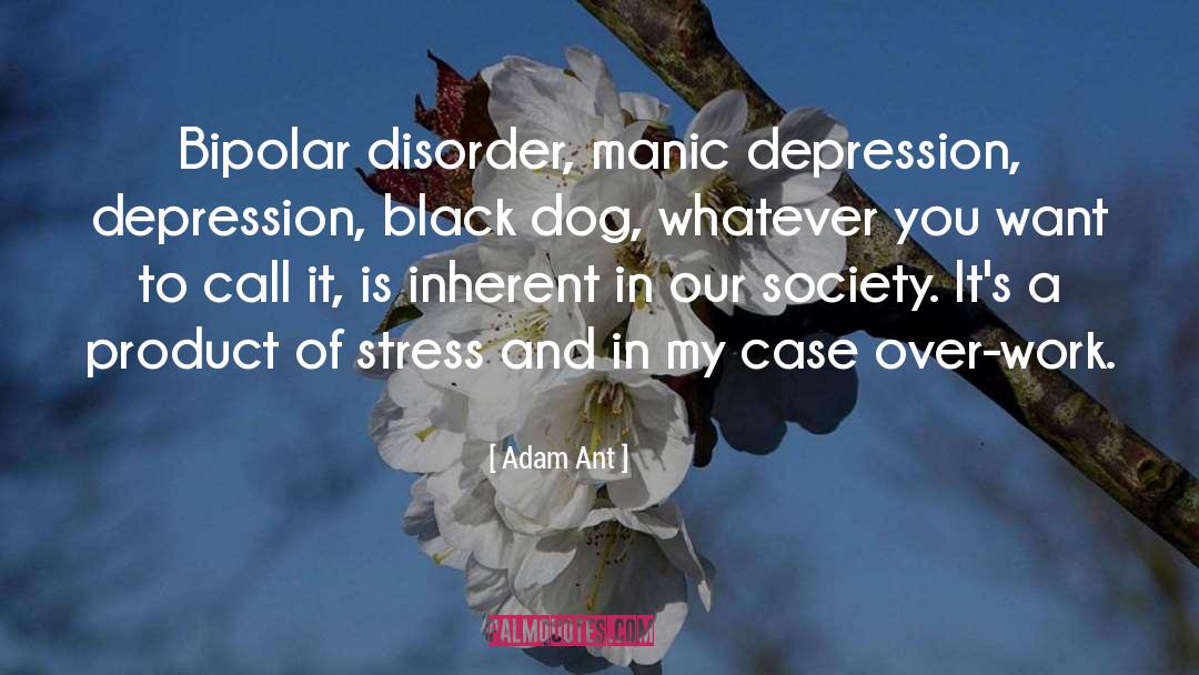 Adam Ant Quotes: Bipolar disorder, manic depression, depression,