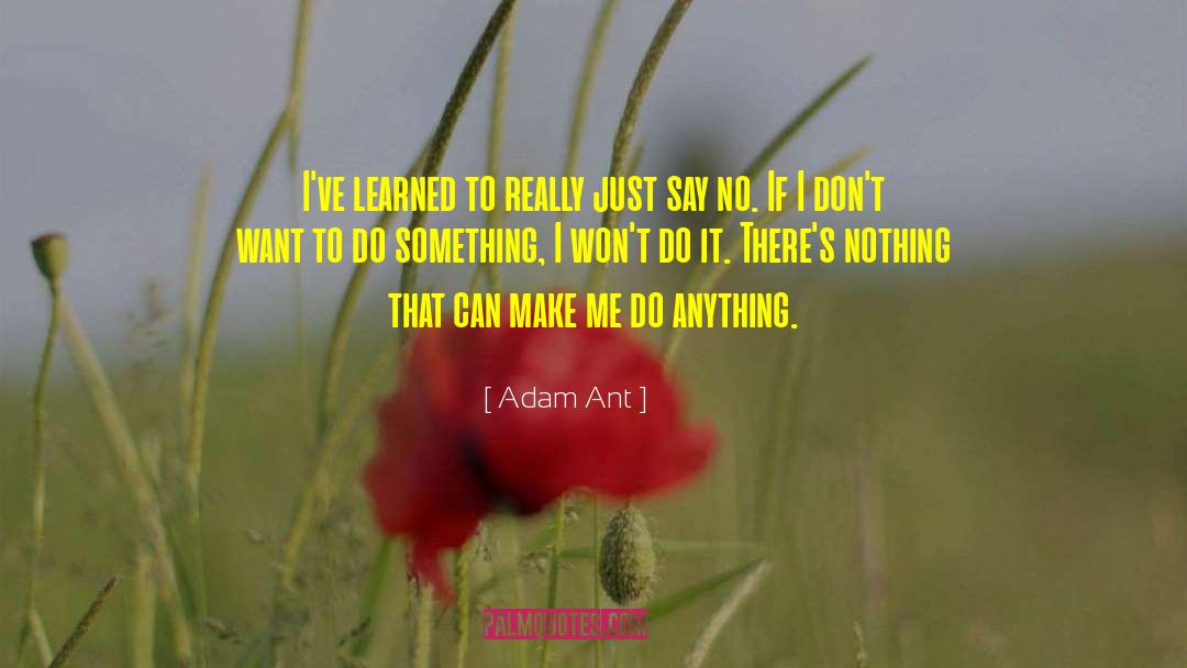 Adam Ant Quotes: I've learned to really just