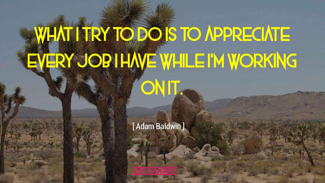 Adam Baldwin Quotes: What I try to do
